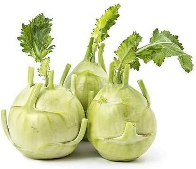 CYBEXIS knol khol Kohlrabi Seeds F12000 Seeds Seed(2000 per packet)