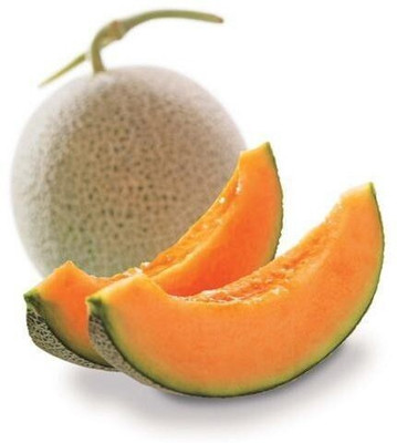 the green dotcom Muskmelon Seed(105 per packet)