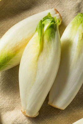 WILLVINE ROX -X Chinese Cabbage Vegetable Seeds [50g] Seed(15000 per packet)