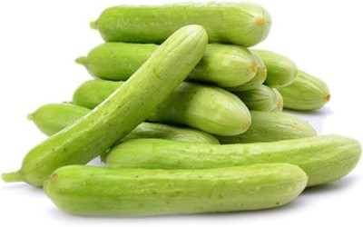 KNESSiN White Cucumber Seed(200 per packet)