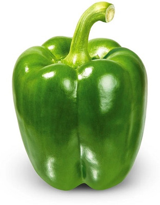 VASUDHA Capsicum Green/Bell Pepper Seed(1000 per packet)