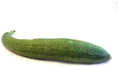 UGRA Sponge Gourd/turai/tori Seed(1000 per packet)