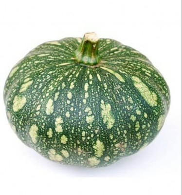 Qualtivate ICRA-4A F1 Hybrid Pumpkin Seeds Seed(50 per packet)