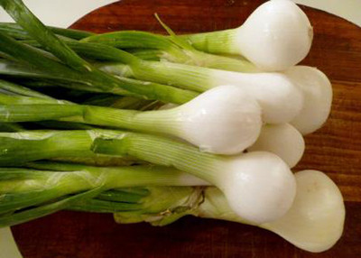 ACMS White Spring Onion Spring KJ-A75 Seed(200 per packet)
