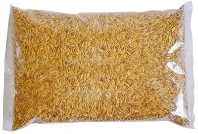 Pbevergreen Dhan Paddy Seeds Vadlu For Pooja, Germination Seed(3200 per packet)
