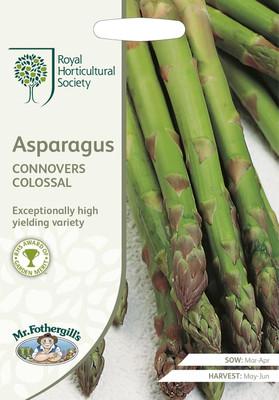 KNESSiN VIX-71 Asparagus Connover Colossal Seed(100 per packet)