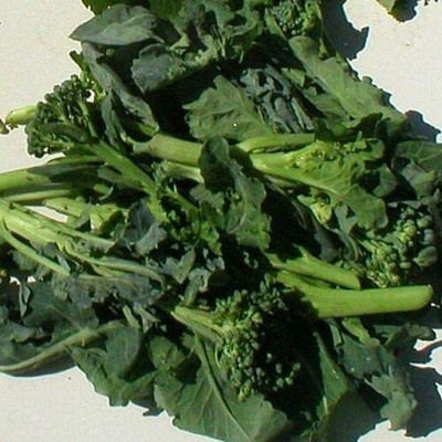 CYBEXIS Broccoli Seed(2000 per packet)