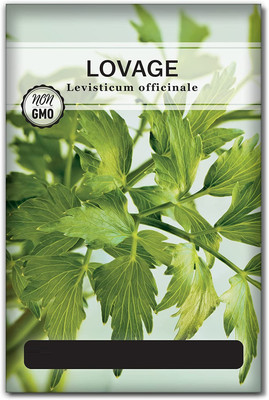 CYBEXIS LXI-90 - Lovage Herb (Levisticum officinale) - (250 Seeds) Seed(250 per packet)