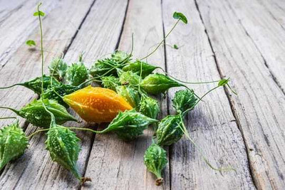 XOLDAA F1 BEST QUALITY BITTER GOURD SEEDS Seed(26 per packet)