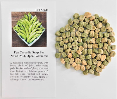 WILLVINE GBPUT-568 Seeds Pea Snap Cascadia Seed(50 per packet)