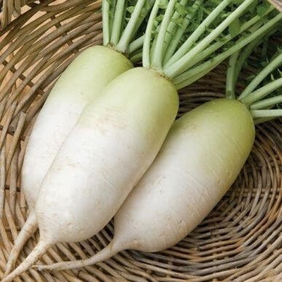 Qualtivate RES-3A Alpine Radish Seeds Seed(300 per packet)