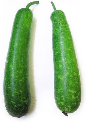 VibeX GUA-83 - Bottle Gourd Dudhi Lauki Calabash - (300 Seeds) Seed(300 per packet)