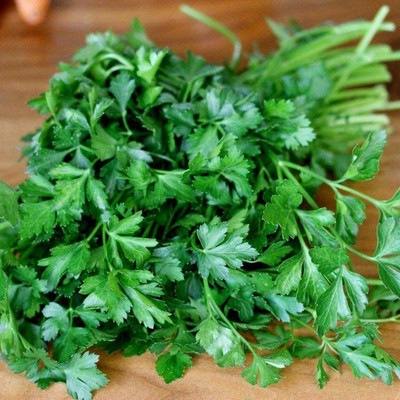 KNESSiN Parsley Seed(500 per packet)
