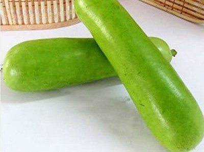 CYBEXIS NBIR-42 - Med-long Bottle Gourd - (300 Seeds) Seed(300 per packet)