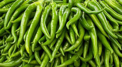 Farmonix Green Chilli हरी मिर्च Seed(1200 per packet)