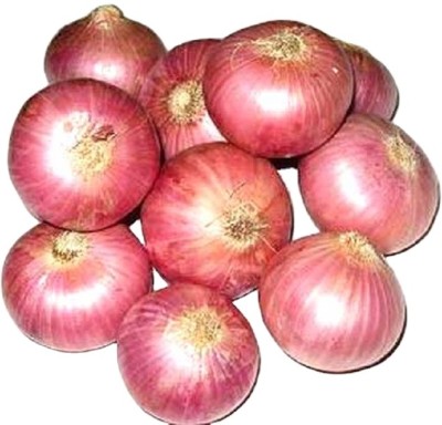 Avysa Onion Pyaj Seed(200 per packet)