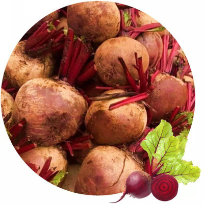 Quentova Organic Beetroot Turnip Egyptian Seed(2000 per packet)