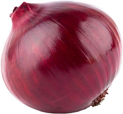 Cloud Farm Giant Sweet Red Onion Seeds Seed(300 per packet)