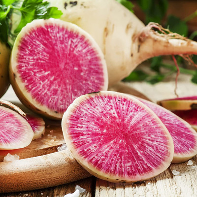 CYBEXIS ATS-84 - Watermelon Radish (Raphanus sativus) - (750 Seeds) Seed(750 per packet)