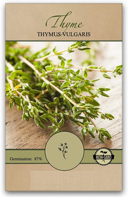CYBEXIS KGF -20 - English Thyme Herb - (150 Seeds) Seed(150 per packet)