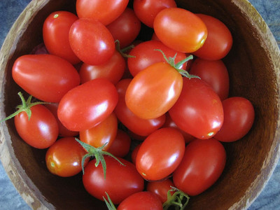 CYBEXIS Classic Italian Paste Tomato500 Seeds Seed(500 per packet)