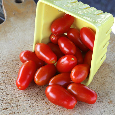 Quentova Tomato Marzito-NAMO-9P Seed(250 per packet)