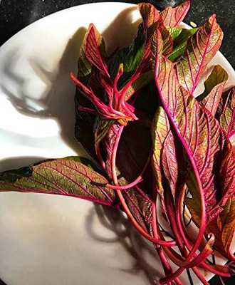 Aywal Amaranthus Leaf Cholai Red Saag Seed(140 per packet)