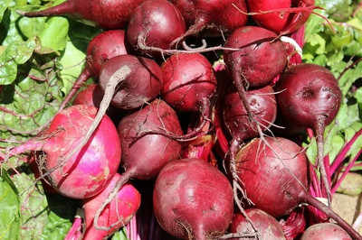 MYLAWN Organic Red Beetroot Seed(2000 per packet)