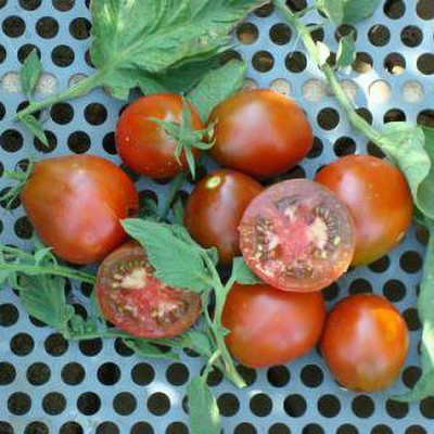 Jevik Brandywine-Red-Tomato- Seed(145 per packet)