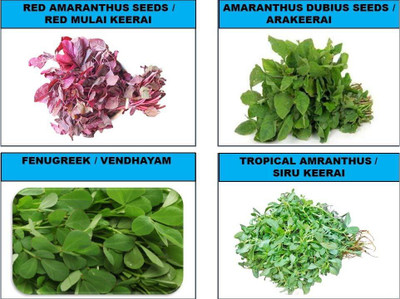 CHILLATAI 4 Variety Combo Leaf Vegetable Seeds / Combo Spinach Seed(4700 per packet)