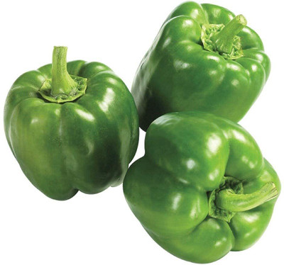 Qualtivate PUA5-A Premium Hybrid Green Capsicum Seeds Seed(100 per packet)