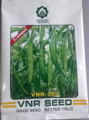 the green dotcom VNR chilli 305 Seed (10 g) Seed(20 per packet)