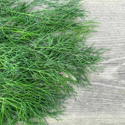 Mozette Organic soya dill Seed(27 per packet)
