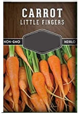 CYBEXIS Carrot Little Finger4000 Seeds Seed(4000 per packet)
