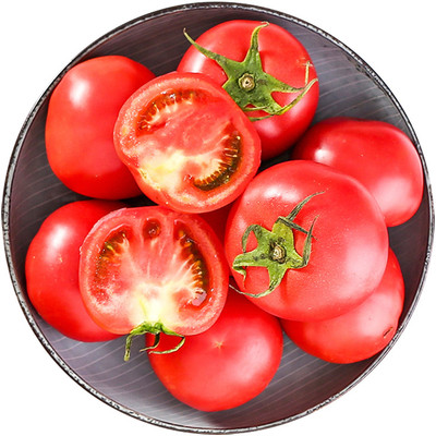 VRAKSHA High Quality Red Tomato Seed(1500 per packet)