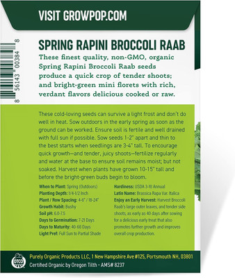 WILLVINE KGF -XII F1 Hybrid Broccoli Raab Seeds (Spring Rapini) [2.5g] Seed(750 per packet)