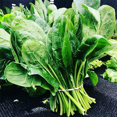 DEYS AGRO ™ spinach seeds, palak seeds, hybrid palak seeds vegetable Seed(250 per packet)