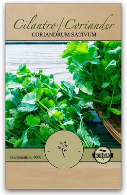 Qualtivate LX-103 Coriander Slow Bolting Seed(500 per packet)