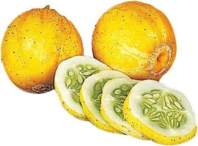 CRGO CUCUMBER , KHEERA Seed(40 per packet)