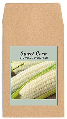 CYBEXIS Hybrid Vegetable Seeds-White Sweet Corn2000 Seeds Seed(2000 per packet)