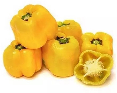 Quentova Yellow Bell Pepper/Capsicum-5J-SWAT Seed(50 per packet)