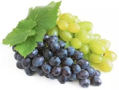 PASCLE अंगूर के बीज Black-Green Grapes Fruit Seed(50 per packet)