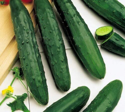KNESSiN Cucumber Marketmore Seed(200 per packet)