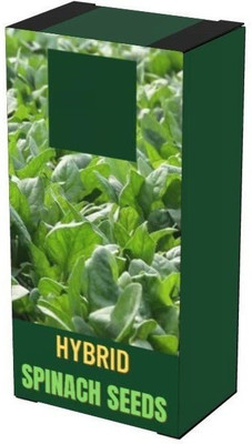 WILLVINE HUA-707 Spinach, Palak Seeds Seed(500 per packet)