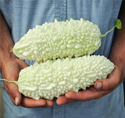LPR KARELA ,BITTAR GOURD Seed(40 per packet)