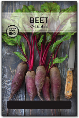 WILLVINE ® Cylindra Beetroot Seeds Seed(500 per packet)