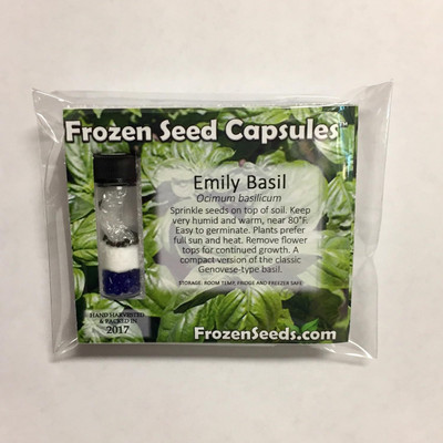 WILLVINE Emily Basil (Ocimum basilicum)Non-GMO Heirloom Culinary-[200 Seeds] Seed(200 per packet)