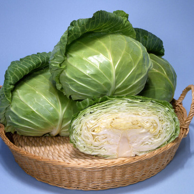BDSresolve f1 cabbage seeds Seed(39 per packet)