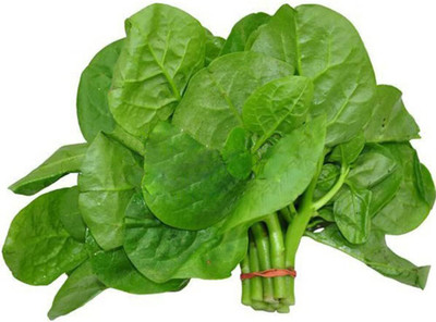 Qualtivate GBPT-3A Malabar Spinach Seeds Seed(50 per packet)