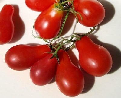 Qualtivate ICRA6-A Red Pear Cherry Tomato Seed(300 per packet)